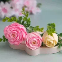 قالب سیلکونی