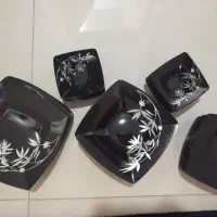 سرویس 24 نفره