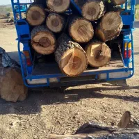 خرید انواع چوب باغی