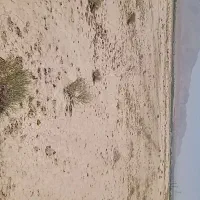 زمین-فروشی-نزدیک-دهکده-پزشکان-تیر-276خیابان-بغل