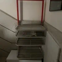 استند