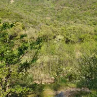 مسافر. از گرگان ب یزد