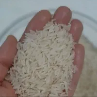 برنج دم سیاه سورتین شده