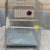دوعدد قفس با لانه و چوب