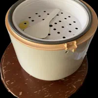 پلوپز برقی
