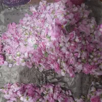 خوردنی|خوردنی و آشامیدنی|نیشابور, دربقاضی|دیوار