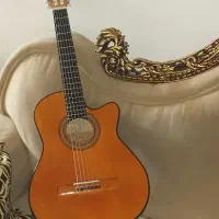 گیتار دایموند نو