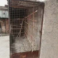 قفس کبوتر اهنی محکم