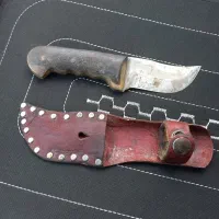 ممدطلا