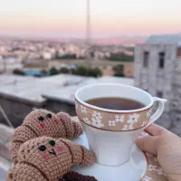 جاکلیدی کروسان
