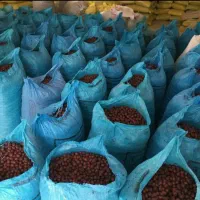 مرکز عمده خرید وفروش عناب