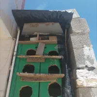 کبوتر و لانه