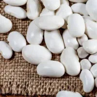 لوبیا سفید خارجی
