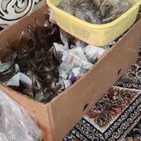 لوستر برنز|لوستر و چراغ آویز|رباط‌کریم, |دیوار