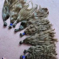 مو بلند شمارو فروشی (میخریم)