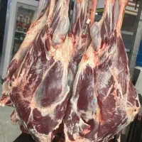 پخش عمده کله بار و گوشت گوساله و بره