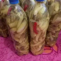 ترشی بیلهر