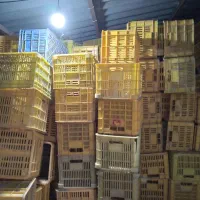 سبد جای گوجه ۲۰ کیلویی