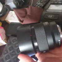 آلفا سون تری
