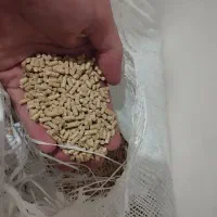 دان مرغ تخم گذار با کیفیت