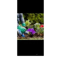 کارهای باغبانی خود را به ما بسپارید تیلر زنی