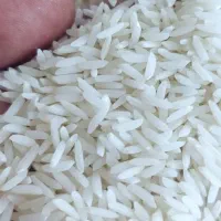 برنج هاشمی درجه یک کشت اول