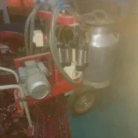 شیر دوش گاو برقی