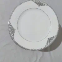 ظروف چینی
