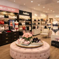 مدیر داخلی خانم مجرب و دستیار