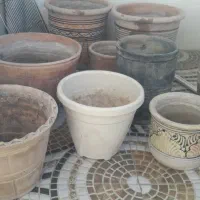 گلدان