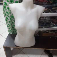 مانکن بالا تنه