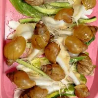 حلزون برای فروش دارم سه تا بخر چهارتا ببر ،،