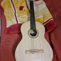 فروش گیتار
