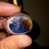 انگشتر شجرنقره تابلو نقاشی