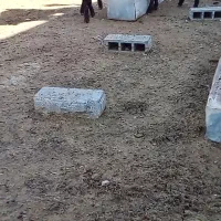 دوبر|حیوانات مزرعه|دورود, |دیوار