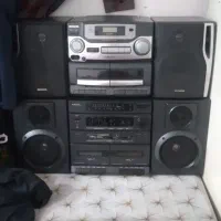 ظبط