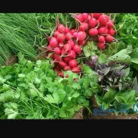 پاک کردن انواع سبزیجات