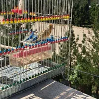 سهره قناری دهن پاک