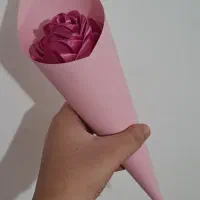 گل روبانی