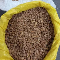 بادام کوهی تر و تمیز