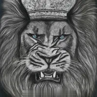 نقاشی شیر سیاهقلم