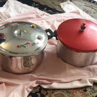 زودپزهای خارجی و پلوپز و میوه خشک کن