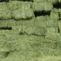 یونجه  پرس انبار  200 پرس خشک کیلویی 48000 تومان