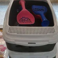 ظرف خاک گربه