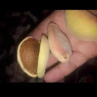 بادوم بازی