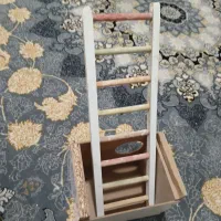لانه عروس هلندی