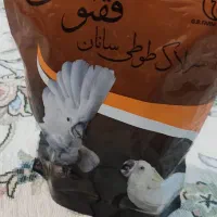 سرلاک پرنده ققنوس