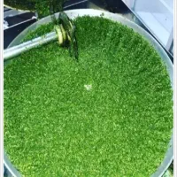 سبزی خردکنی.آبلیموگیری.آب غوره گیری