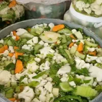 فروش ترشیحات