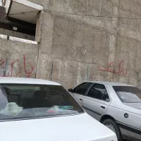 راننده برای پارکینگ